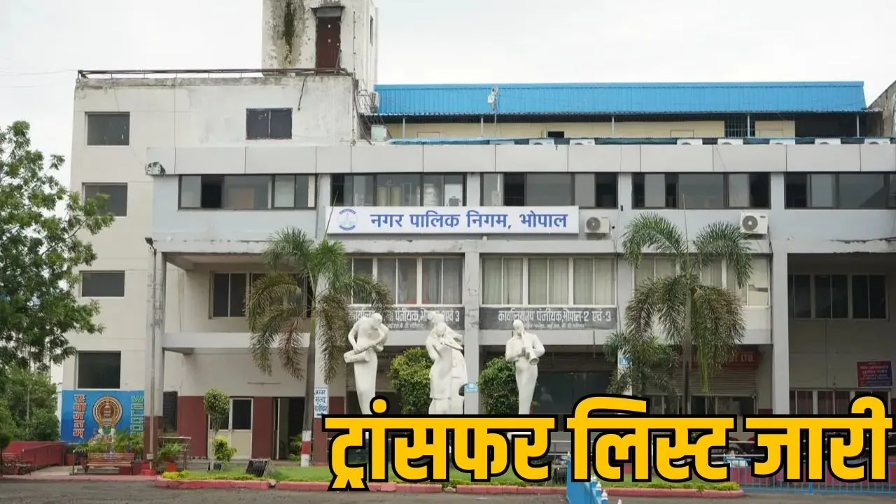 नगर निगम